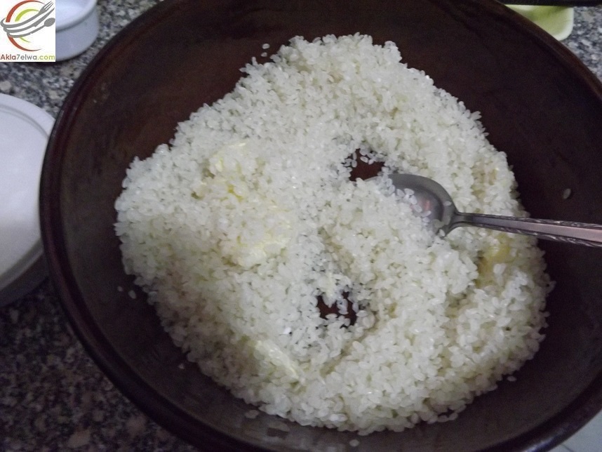 أرز معمر