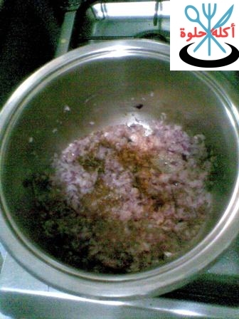 meat with onion la3