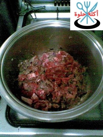meat with onion la4